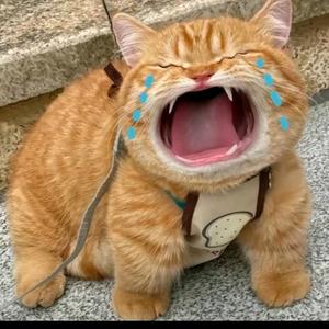 猛踹瘸子那条好腿头像