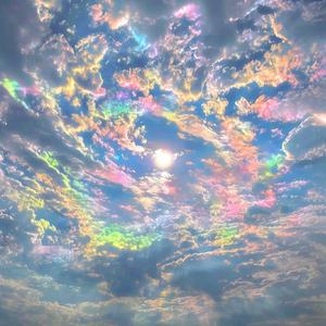 羊左生鲜福羊礼头像