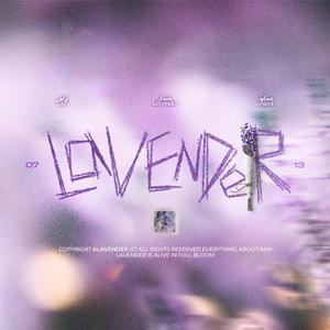 Lavender·艾米头像