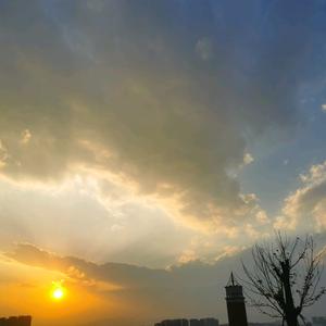 小白的数学竞化之路头像