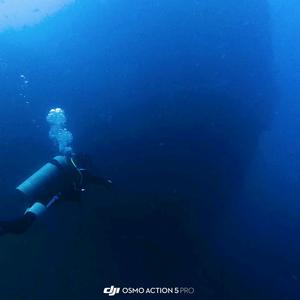 快乐的瓷（潜水版）头像