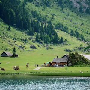 山下看房小田（诚实守信）头像