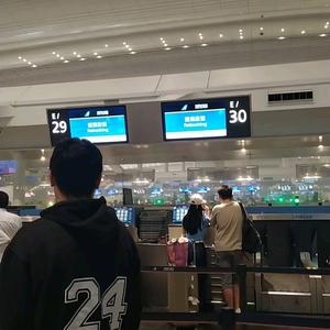 三人行-小柴头像