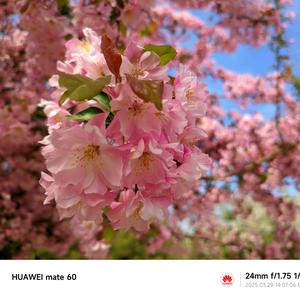 焱垚（墨莫易学小助手）头像