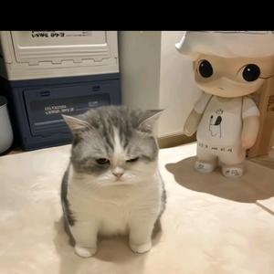 大王的小王头像