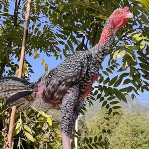 需要耐心…👫👭头像