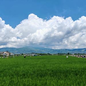 🙈小胡子¹头像