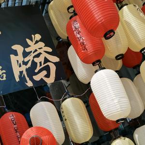 胖播李球(就一个)头像