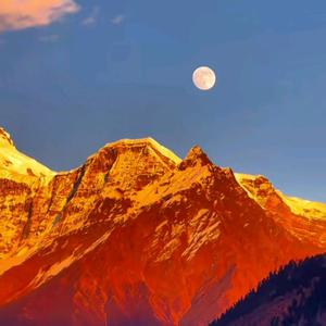 🌈昔渔先生🌈头像