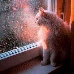 💋皮皮，陈头像