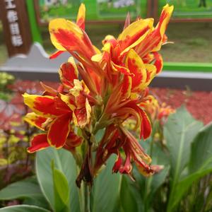 用户5851206042072头像