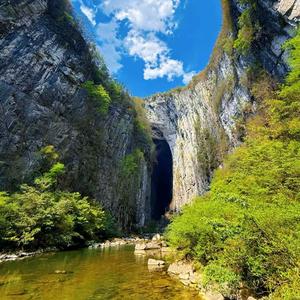 核动力脱脂牛马头像