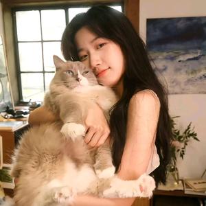 不知名的兔子头像