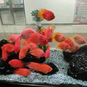 @细品人生百味头像