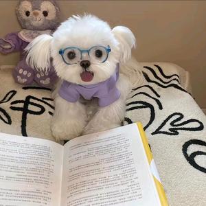 多云转小雨lm头像