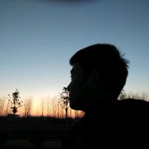 一颗手刘弹头像