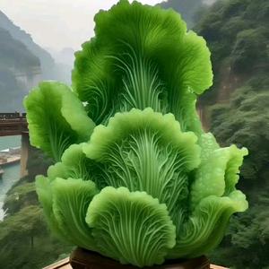 运来百财🙇‍♀️🙇‍♀️🙇‍♀️头像