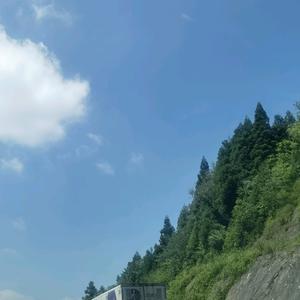 诺北人才市场头像