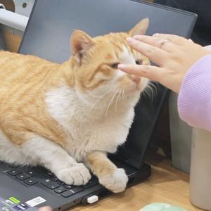 小奥爱分享头像