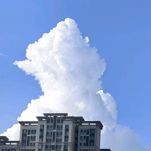 《穷志富德》头像