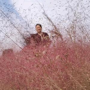 🥀⃟余生ꦽ爱᭨自己꧀ᩚ࿐头像