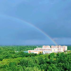 周周哈鲁酱头像