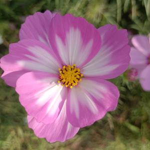 我的名字最好听头像