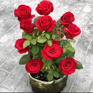 用户3018561690063头像