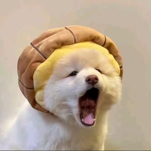 九九八十一头像