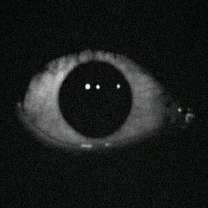 我是个菜蛋芷头像