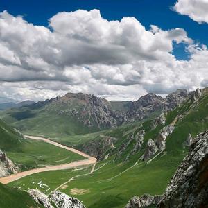 小何健康笔记头像