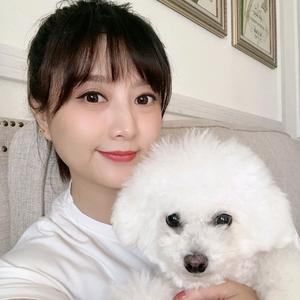 汤圆姐姐（单身版）头像