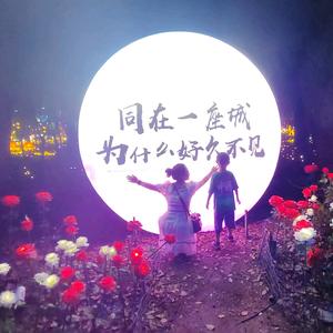 逆风的蔷薇头像