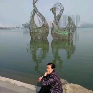 郑健则福安康头像