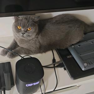 万丈晴天🌞头像