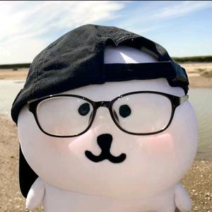 五个九的王头像