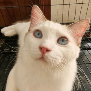 💞ꦿꦼ҉蓉蓉幸福ꦿᩚ⁵²⁰💕🍎头像