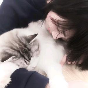 你抱过的猫我养了七年头像
