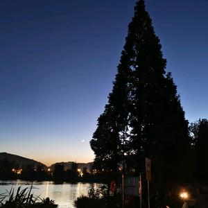 吃瓜蒙主粉丝头像