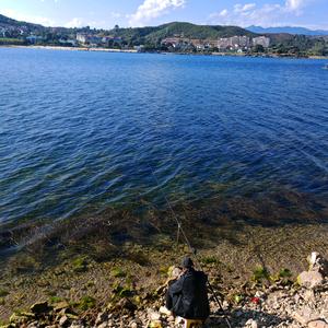 摆烂小达人头像