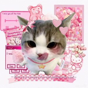 ^满眼皆是Love🎬🌷头像