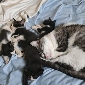 好名都被你们起了头像