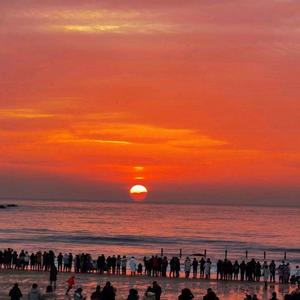 青农孔乙己头像