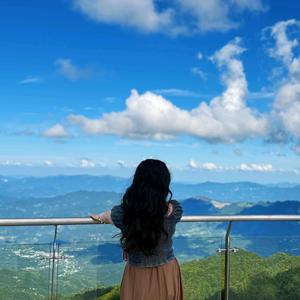 可爱的小熊猫头像