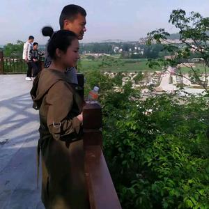 永城市大勇宠物服务有限公司头像