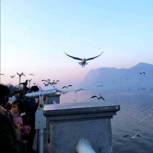 蓝天高飞💫🌺头像