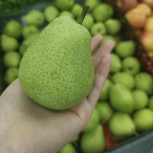 梨子的钩织日常头像