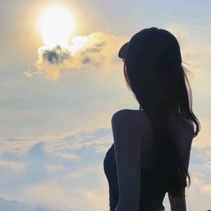 💰每天都好小说💰头像