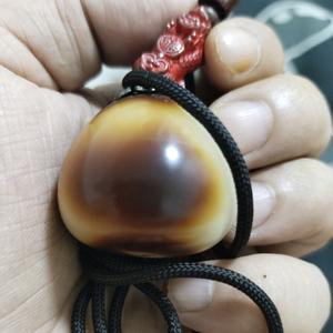 瑶瑶的鹿୧⍤⃝头像