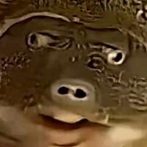 被按沙的甲鱼头像